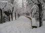 neve (53)